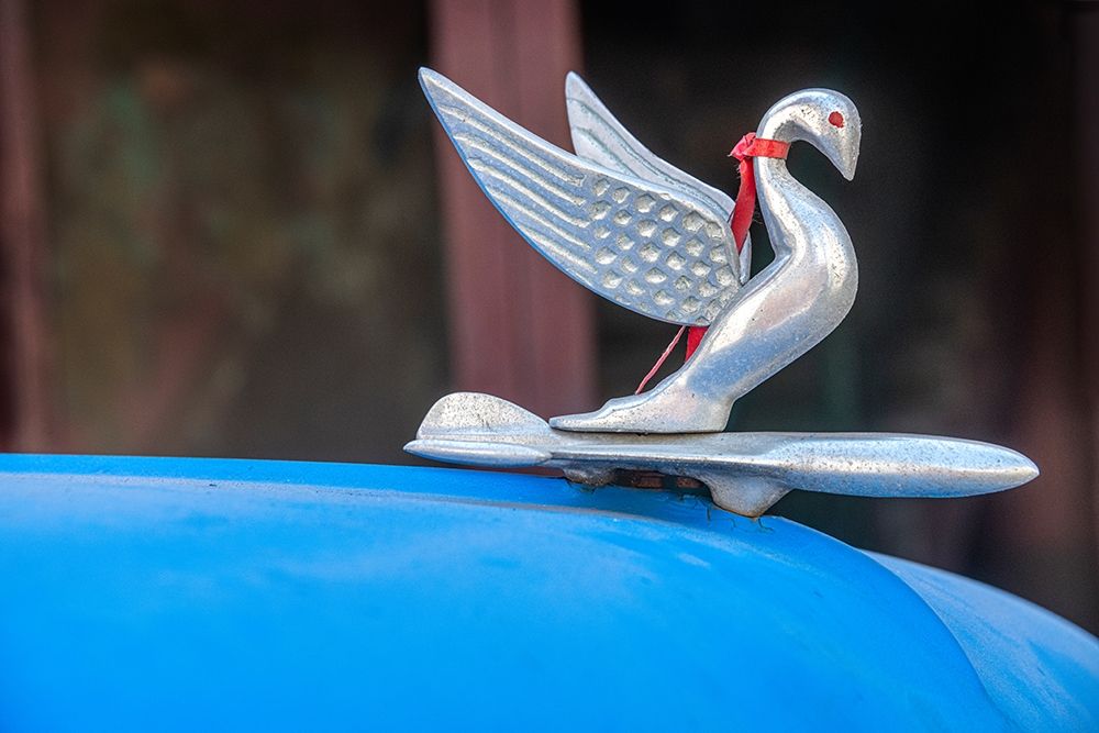 Detail of swan hood ornament usually found on classic American Packard Havana-Cuba